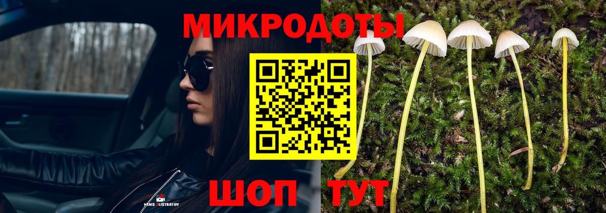 Псилоцибиновые грибы Psilocybe  Псилоцибиновые грибы MAGIC MUSHROOMS  Вход с VPN  Красногорск 
